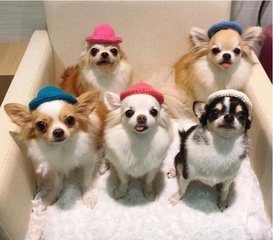 创立以太坊钱包