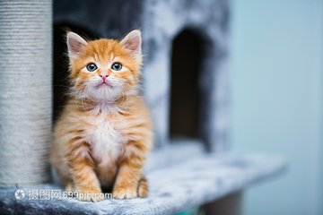 imtoken钱包和以太坊钱包