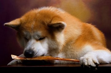 以太坊钱包科普