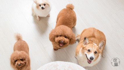 以太坊钱包地址变了
