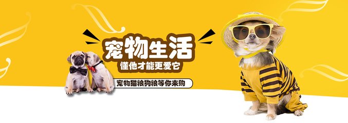 欧意app钱包下载钱包