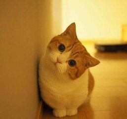 以太坊 钱包合约