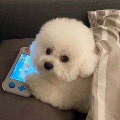 以太坊钱包苹果版
