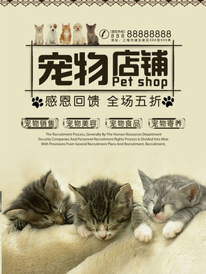 imtoken正版下载
