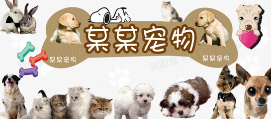 以太坊钱包官方网