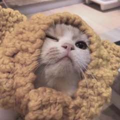 虚拟币钱包下载