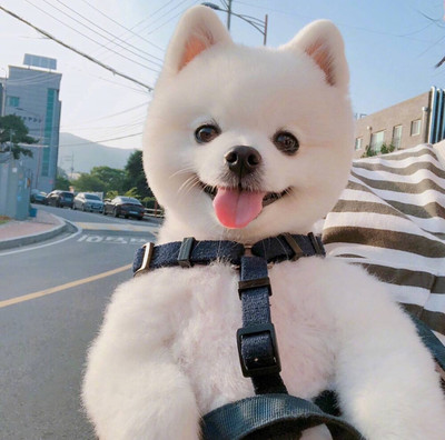 imtoken苹果钱包