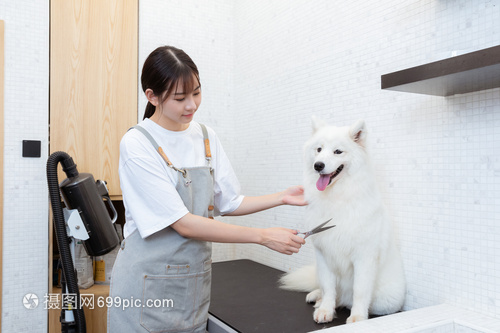 ok交易所中文名