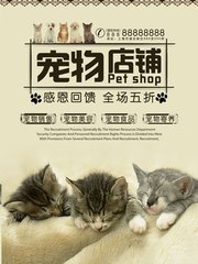 usdt虚拟币app